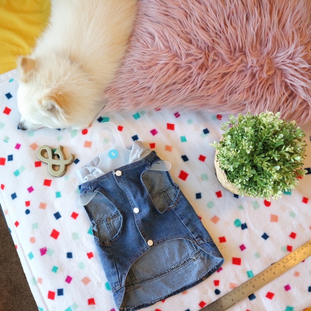 Dogs Vests Classic Hoodies Blue Denim